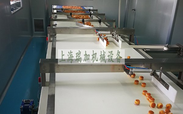 皮帶輸送機使用壽命一般有多長，如何延長使用